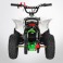 Pocket quad électrique 800w VERT TIRAX PROBIKE