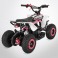 Pocket quad électrique 800w ROSE TIRAX PROBIKE