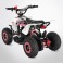 Pocket quad électrique 800w ROSE TIRAX PROBIKE