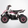 Pocket quad électrique 800w ROSE TIRAX PROBIKE