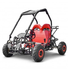 Buggy 110cc 2 places NOIR pour enfant