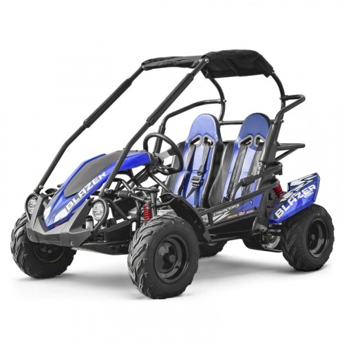 Buggy 212cc 2 places BLAZER BLEU