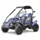 Buggy 212cc 2 places BLAZER BLEU