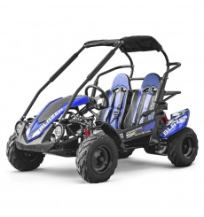 Buggy 212cc 2 places BLAZER BLEU