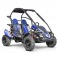 Buggy 212cc 2 places BLAZER BLEU