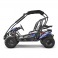 Buggy 212cc 2 places BLAZER BLEU