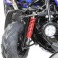 Buggy 212cc 2 places BLAZER BLEU