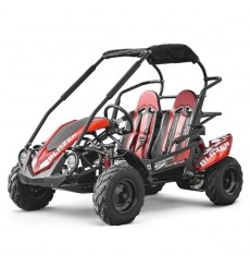 Buggy 212cc 2 places BLAZER ROUGE