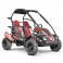 Buggy 212cc 2 places BLAZER ROUGE