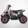 Pocket quad 49cc ROSE TIRAX PROBIKE