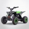 Quad électrique 1200w VERT DIAMON VAREX