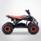 Quad électrique 1200w ORANGE DIAMON VAREX