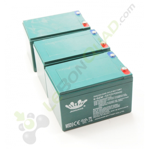 Pack de 3 batteries 6-DZM-12 12Volt de quad enfant électrique
